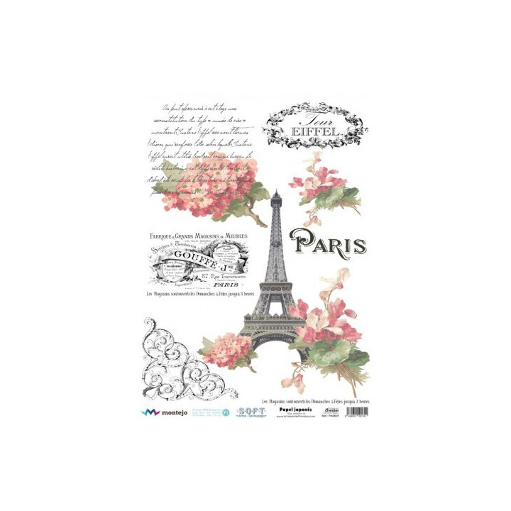copy of 